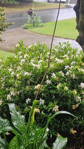 5440 Bentley Hall Drive, Alpharetta, GA 30005