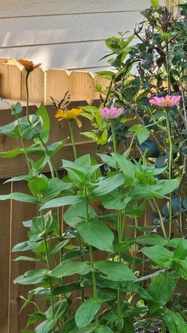 5440 Bentley Hall Drive, Alpharetta, GA 30005