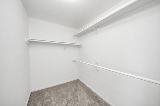 20403 Blue Juniper Drive, Katy, TX 77449