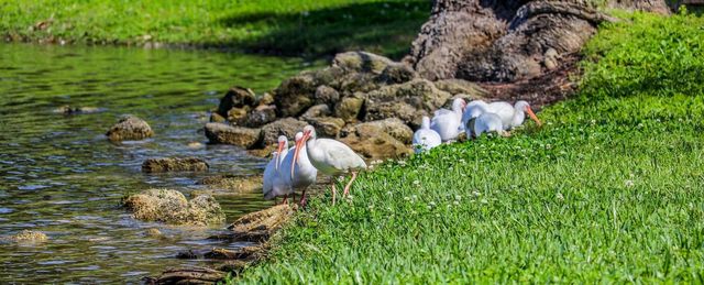 645 LAUREL OAK LANE 113, Altamonte Springs, FL 32701