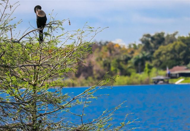 645 LAUREL OAK LANE 113, Altamonte Springs, FL 32701