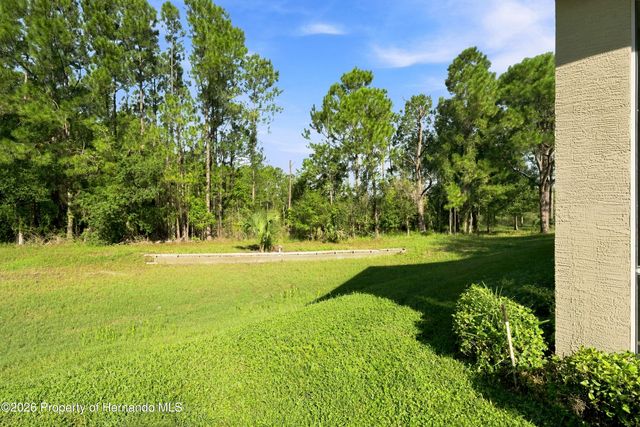 10097 Holly Berry Drive, Weeki Wachee, FL 34613