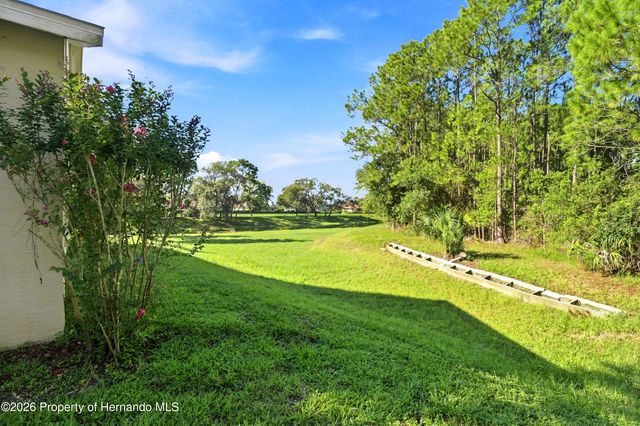 10097 Holly Berry Drive, Weeki Wachee, FL 34613