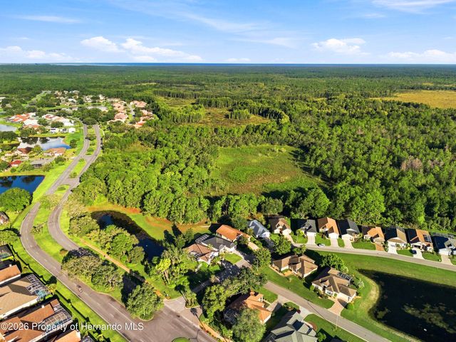 10097 Holly Berry Drive, Weeki Wachee, FL 34613