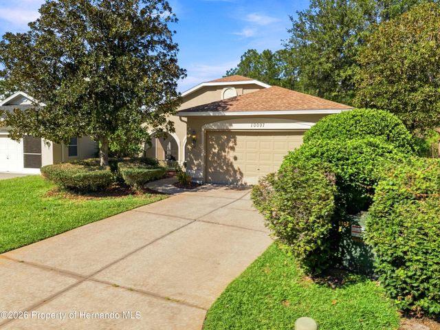 10097 Holly Berry Drive, Weeki Wachee, FL 34613