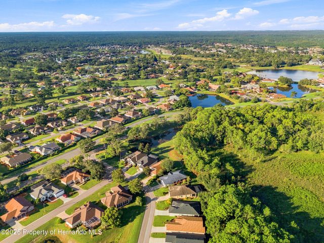 10097 Holly Berry Drive, Weeki Wachee, FL 34613