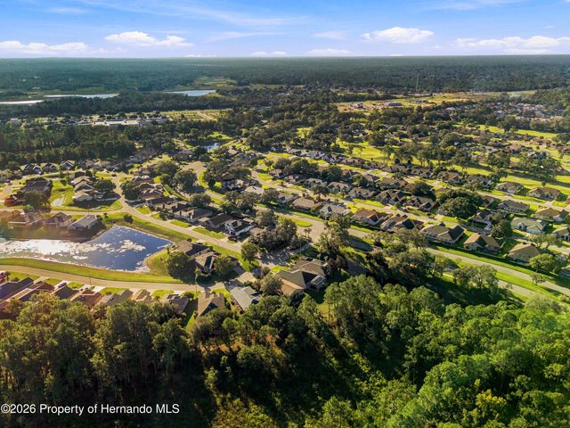 10097 Holly Berry Drive, Weeki Wachee, FL 34613