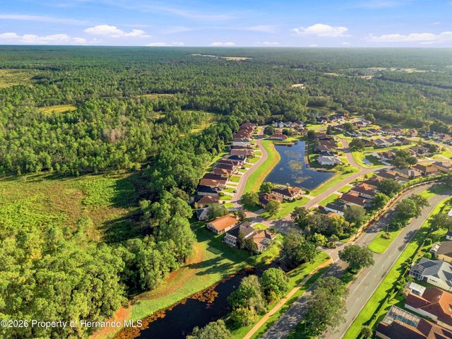 10097 Holly Berry Drive, Weeki Wachee, FL 34613