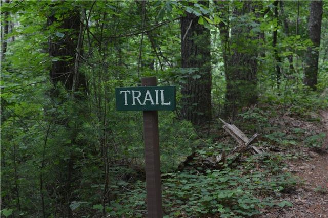 20 Goldmine Drive, Ellijay, GA 30536