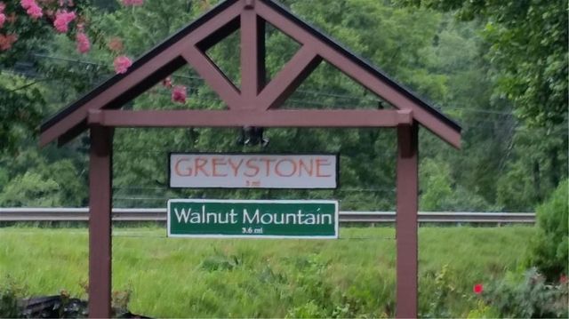 20 Goldmine Drive, Ellijay, GA 30536