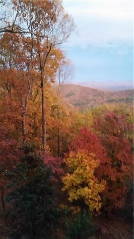 20 Goldmine Drive, Ellijay, GA 30536
