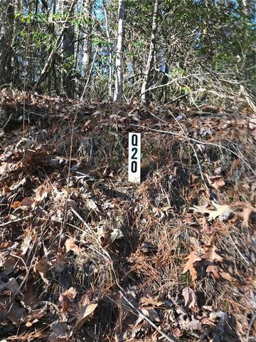 20 Goldmine Drive, Ellijay, GA 30536