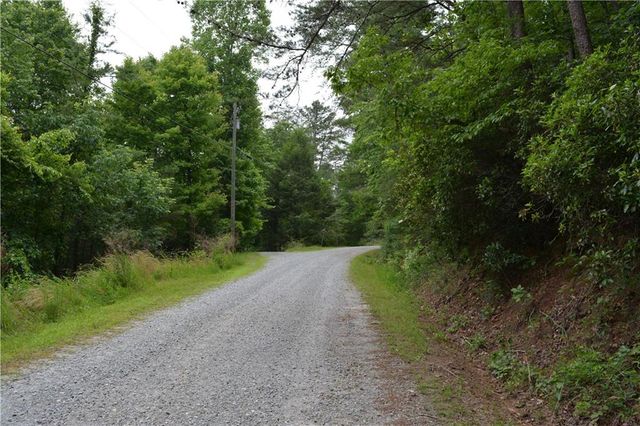 20 Goldmine Drive, Ellijay, GA 30536