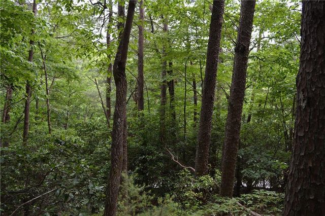 20 Goldmine Drive, Ellijay, GA 30536