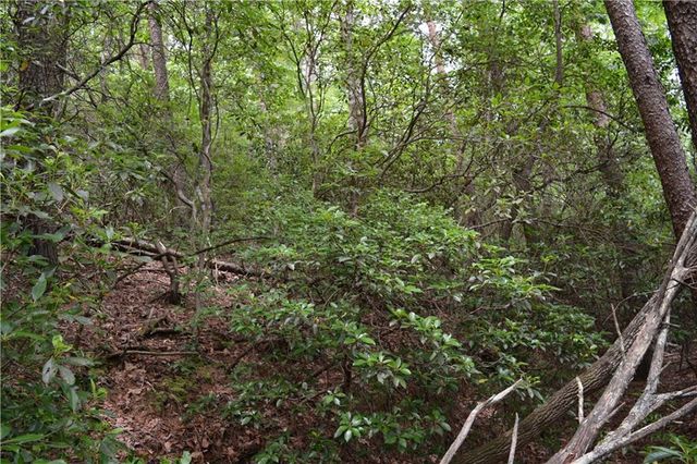 20 Goldmine Drive, Ellijay, GA 30536