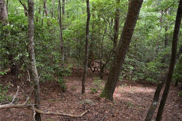 20 Goldmine Drive, Ellijay, GA 30536