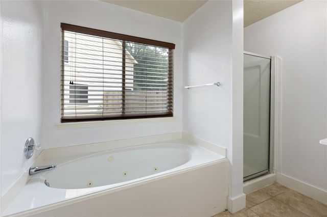 22014 Soft Pines Court, Porter, TX 77365