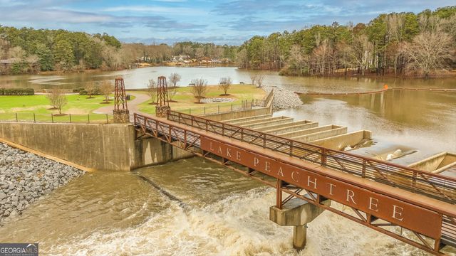 216 Flat Creek Court, Peachtree City, GA 30269