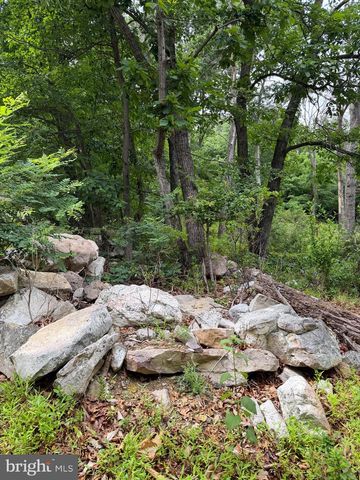 616 OPOSSUM TRL, Winchester, VA 22602