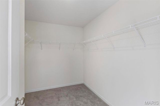 3 Royal II at Winding Bluffs, Fenton, MO 63026