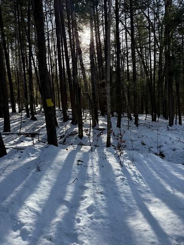 0 Four Mile Brook Rd, Northfield, MA 01360