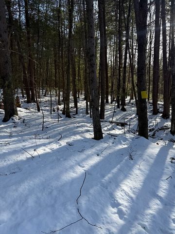 0 Four Mile Brook Rd, Northfield, MA 01360