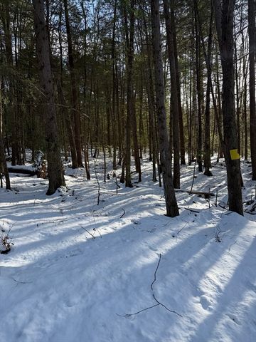 0 Four Mile Brook Rd, Northfield, MA 01360