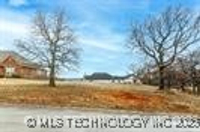 Giorgio Drive, Skiatook, OK 74070