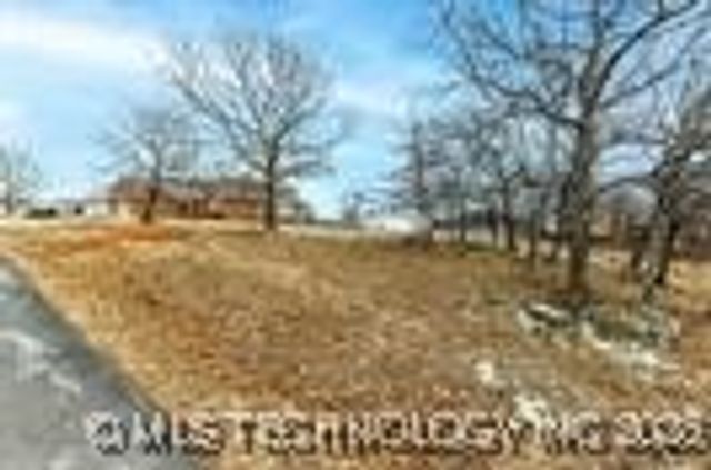 Giorgio Drive, Skiatook, OK 74070