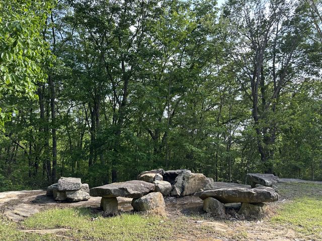 131 Bluff Line Dr, Mcminnville, TN 37110