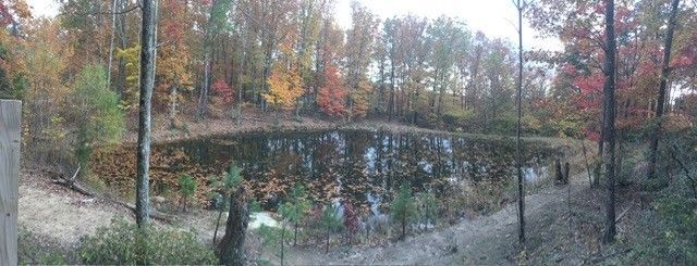 131 Bluff Line Dr, Mcminnville, TN 37110