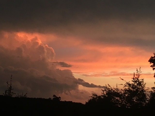 131 Bluff Line Dr, Mcminnville, TN 37110