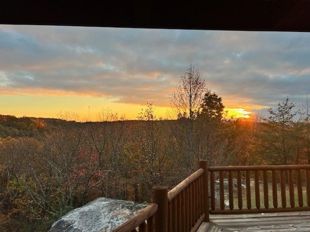 131 Bluff Line Dr, Mcminnville, TN 37110