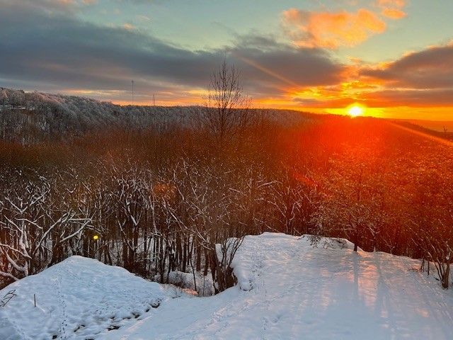 131 Bluff Line Dr, Mcminnville, TN 37110