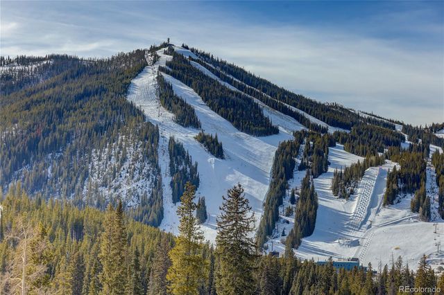 313 N Woods Place, Winter Park, CO 80482