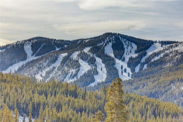 313 N Woods Place, Winter Park, CO 80482