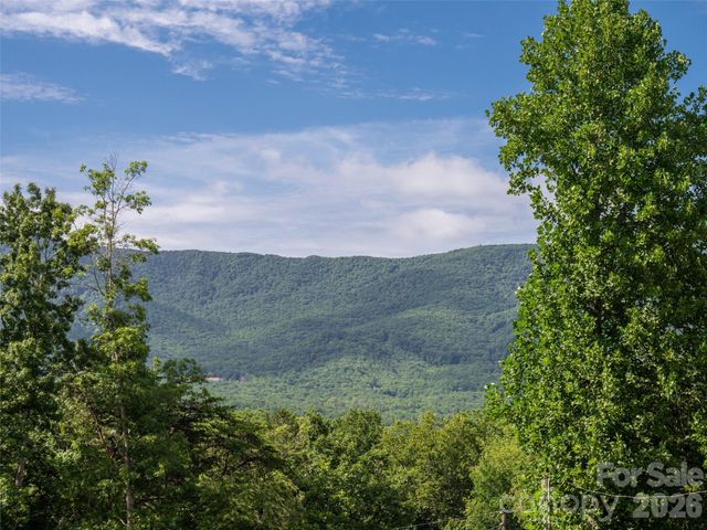 125 Craggy Street, Black Mountain, NC 28711
