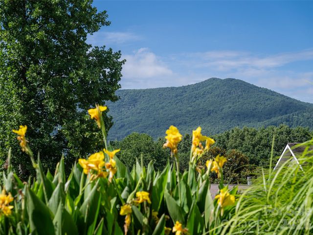 125 Craggy Street, Black Mountain, NC 28711