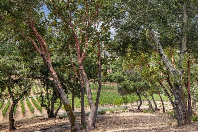 232 N Fork Crystal Springs Rd, St. Helena, CA 94574