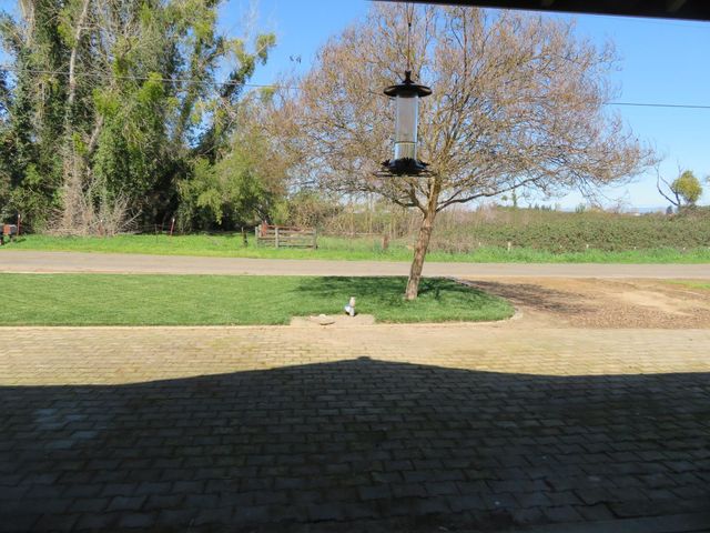 4900 Pleasant Valley Rd, Oakdale, CA 95361