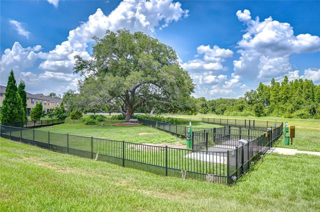 10335 HOLSTEIN EDGE PLACE, Riverview, FL 33569