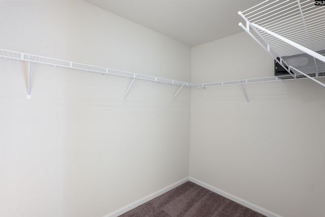 151 Honey Tree, Columbia, SC 29209