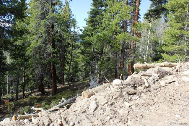 4-1 Lamertine Road, Idaho Springs, CO 80452