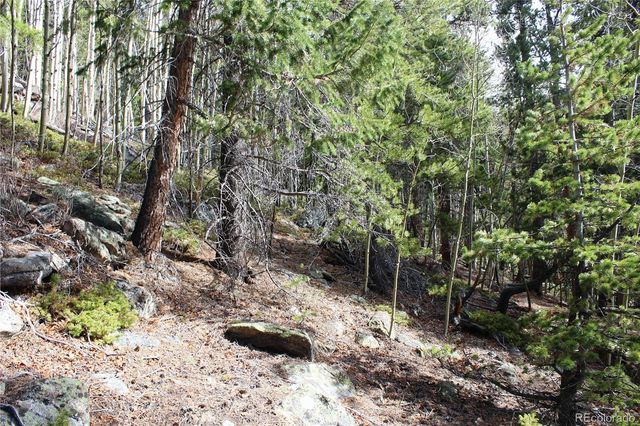 4-1 Lamertine Road, Idaho Springs, CO 80452