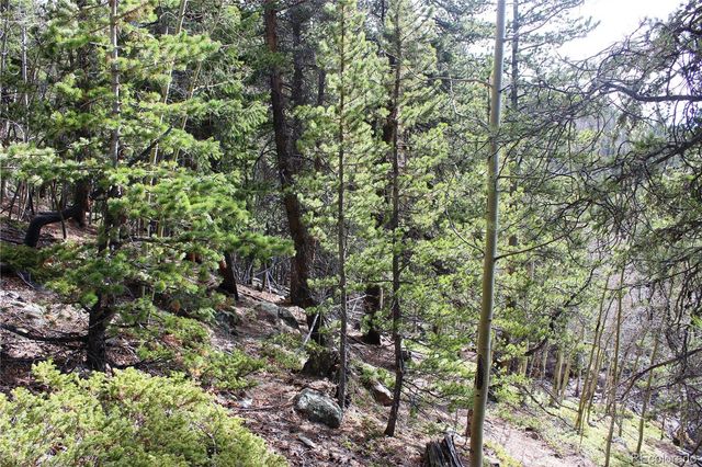4-1 Lamertine Road, Idaho Springs, CO 80452