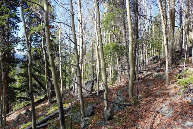 4-1 Lamertine Road, Idaho Springs, CO 80452
