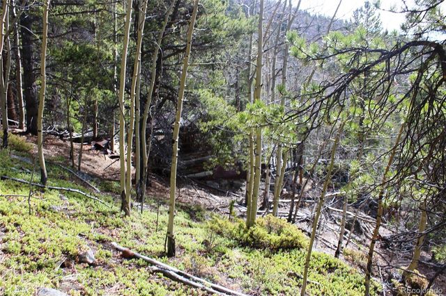 4-1 Lamertine Road, Idaho Springs, CO 80452