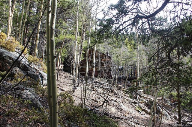 4-1 Lamertine Road, Idaho Springs, CO 80452