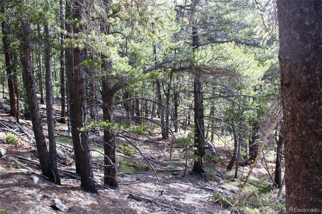 4-1 Lamertine Road, Idaho Springs, CO 80452