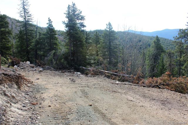 4-1 Lamertine Road, Idaho Springs, CO 80452